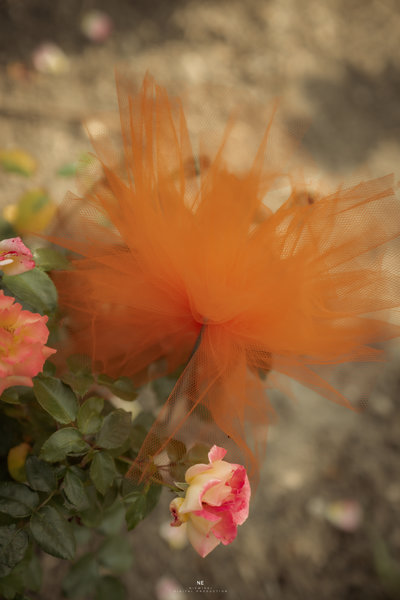 Gala jubileuszu 170-lecia